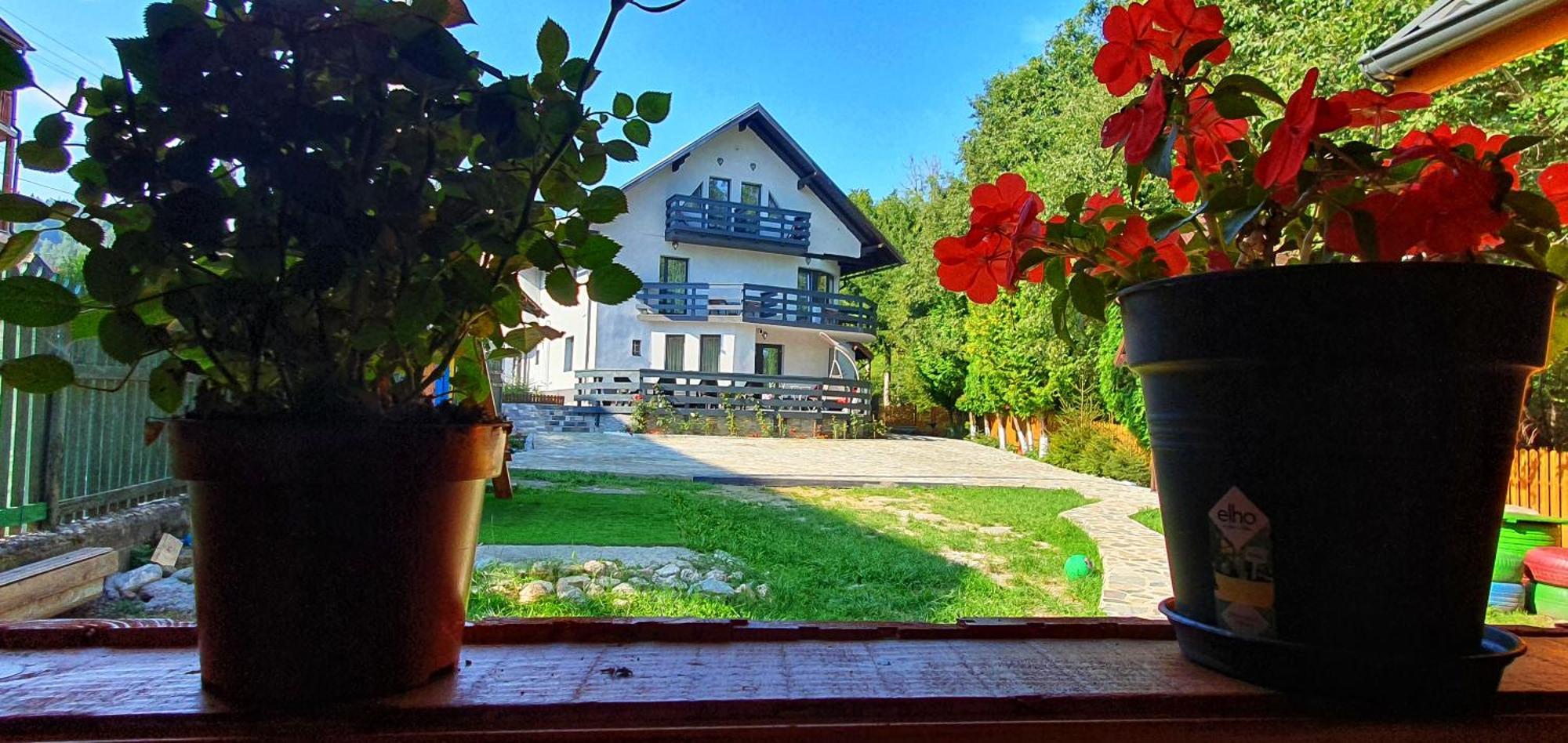 Mery'S Home Bran  Bagian luar foto